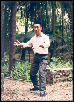 Mestre Wang Te Cheng
